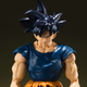 Illustration for article titled Rare Gokus No Longer Lost At Sea